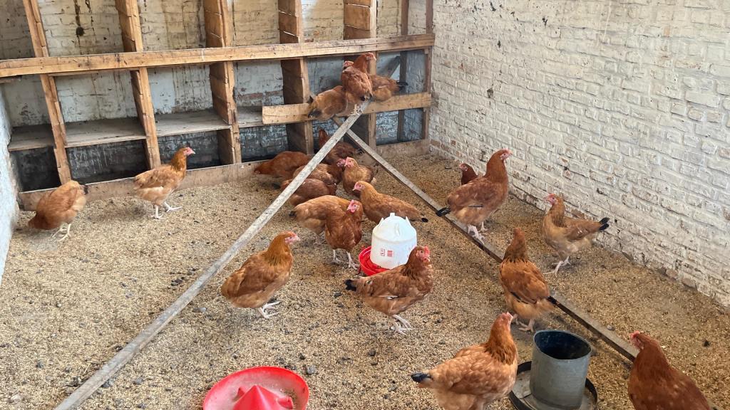 Centre Agro-pastorale