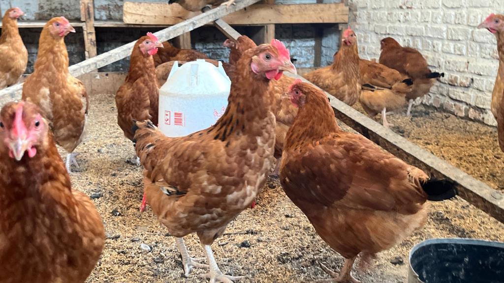 Centre Agro-pastorale