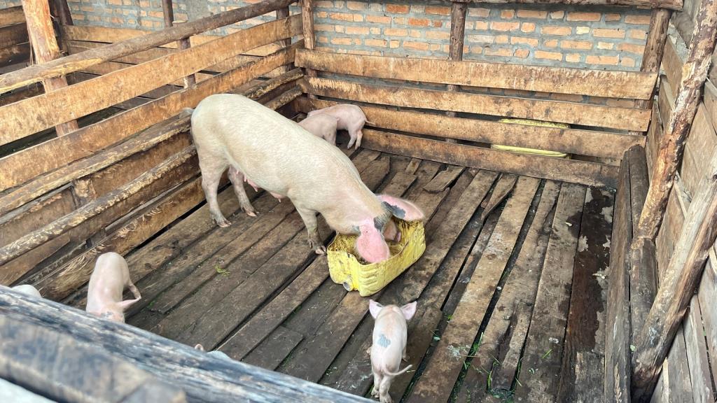 Centre Agro-pastorale